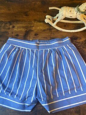 Blue and White Striped Shorts in Size L